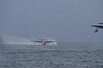 Dcim8470/DSC_7427