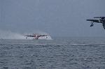 Dcim8470/DSC_7428