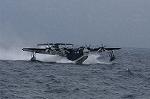 Dcim8471/DSC_7448