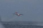 Dcim8471/DSC_7485