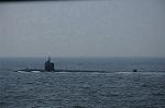 Dcim8474/DSC_7999