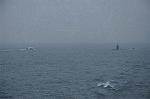 Dcim8475/DSC_8022