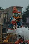 Dcim8483/DSC_2981