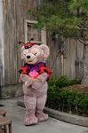Dcim8486/DSC_8494