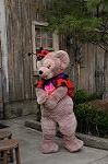 Dcim8486/DSC_8495