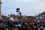 Dcim8488/DSC_8875