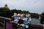 Dcim8495/DSC_9659