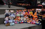 Dcim8496/DSC_9756