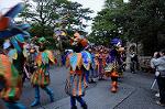 Dcim8496/DSC_9809