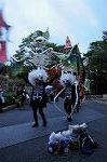 Dcim8497/DSC_9887