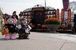Dcim8504/DSC_0299
