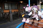 Dcim8505/DSC_0306