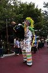 Dcim8505/DSC_0378