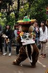 Dcim8506/DSC_0493