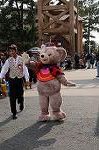 Dcim8507/DSC_0623