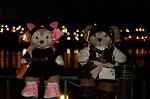 Dcim8511/DSC_1232