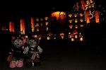 Dcim8514/DSC_1722