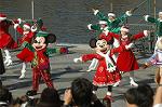 Dcim8531/DSC_3828