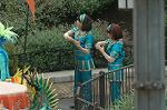 Dcim8532/DSC_3962