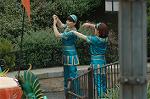 Dcim8532/DSC_3963