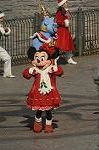 Dcim8537/DSC_2978