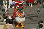 Dcim8537/DSC_3048