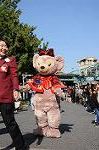 Dcim8539/DSC_3256