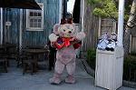 Dcim8540/DSC_3409
