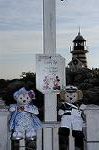 Dcim8541/DSC_3637