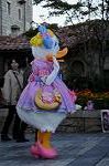 Dcim8542/DSC_3804