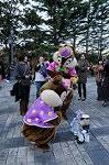 Dcim8542/DSC_3822
