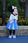 Dcim8542/DSC_3848