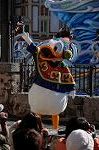 Dcim8556/DSC_5249