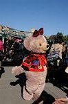 Dcim8558/DSC_5551