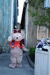 Dcim8559/DSC_5768