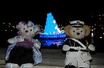 Dcim8561/DSC_5991