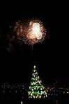 Dcim8564/DSC_6528