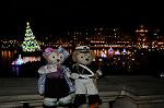 Dcim8565/DSC_6609