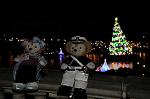 Dcim8565/DSC_6615