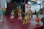 Dcim8576/DSC_5559