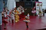 Dcim8576/DSC_5666