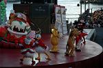 Dcim8579/DSC_6016