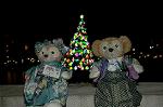 Dcim8584/DSC_6737