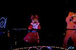 Dcim8588/DSC_8776
