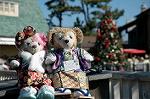 Dcim8590/DSC_6863