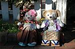 Dcim8591/DSC_6939