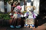 Dcim8591/DSC_6940