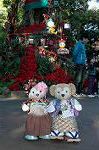 Dcim8591/DSC_6968