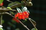 Dcim8605/DSC_7103