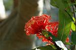 Dcim8605/DSC_7116